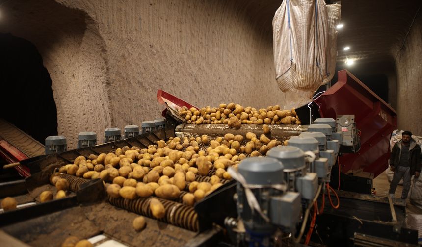 Türkiye’nin Patatesi Nevşehir’in Yeraltı Mağaralarında Korunuyor