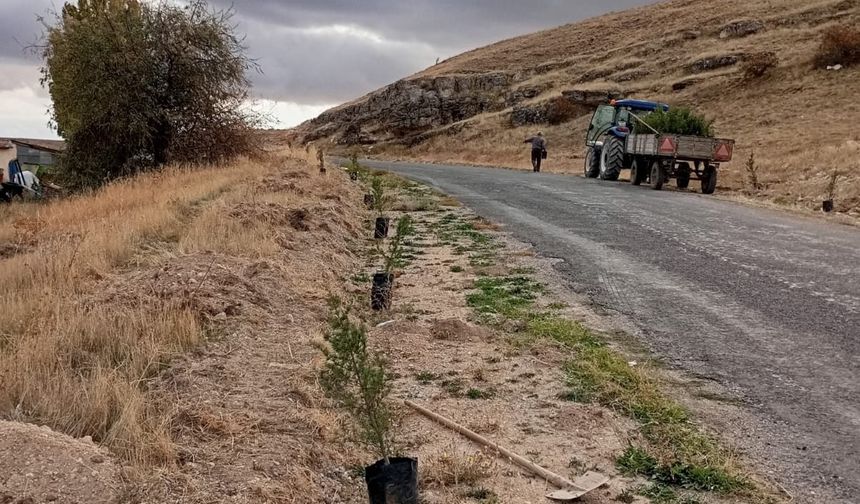 Kozaklı İmran Köyü’nde 200 Fidan Toprakla Buluştu