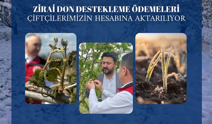 Nevşehirli 14 Bin 258 Üreticiye 318 Milyon TL Destek!