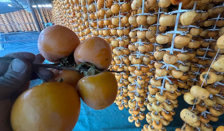 Nevşehir'in Bahçeli Köyü Organik Kurutma Üssü Olma Yolunda