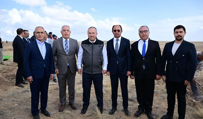 Kozaklı’da Yeşeren Gelecek: İmran'da Fidanlar Toprakla Buluştu