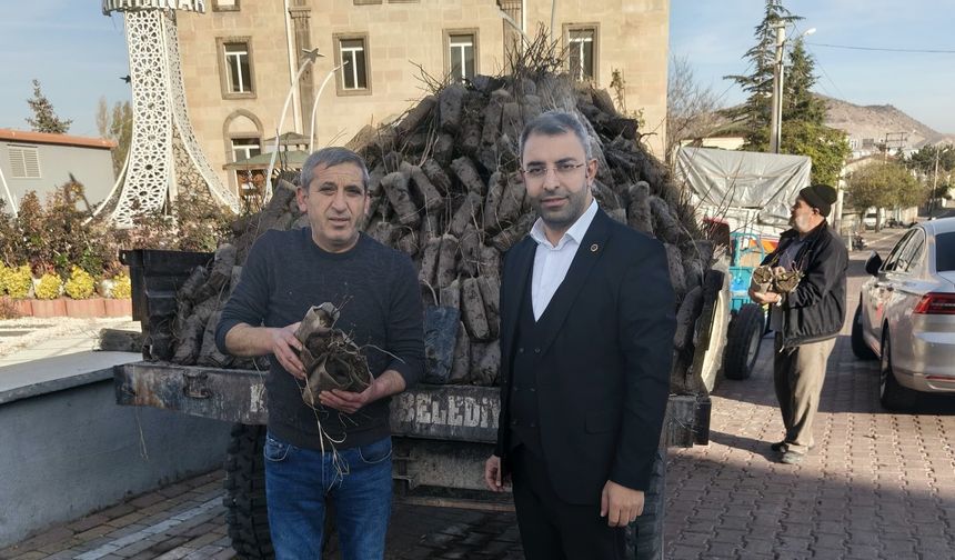 Karapınar’da 2 Bin Fidan Dağıtıldı: Başkan Güneş’ten Yeşil Seferberlik