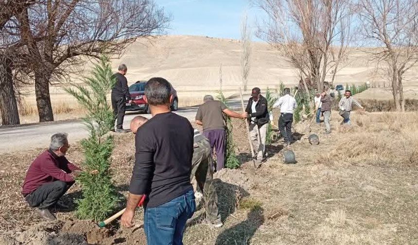 Kozaklı Aylı Köyü’nde 450 Fidan Toprakla Buluştu