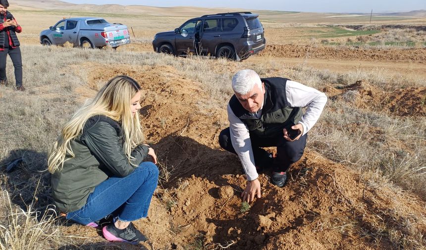 Nevşehir’de ağaçlandırma sahalarına yakın takip