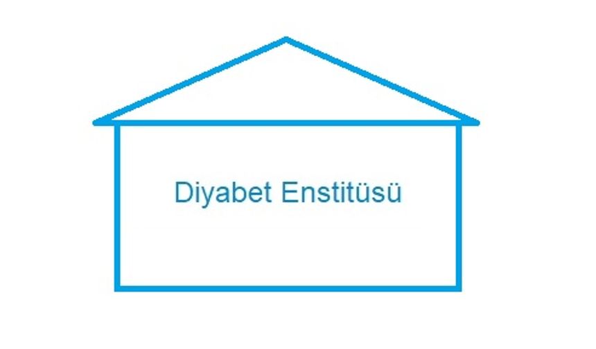 Diyabet Enstitüsü