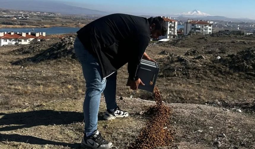 Gülşehir’de Sokak Hayvanlarına Mama Dağıtımı