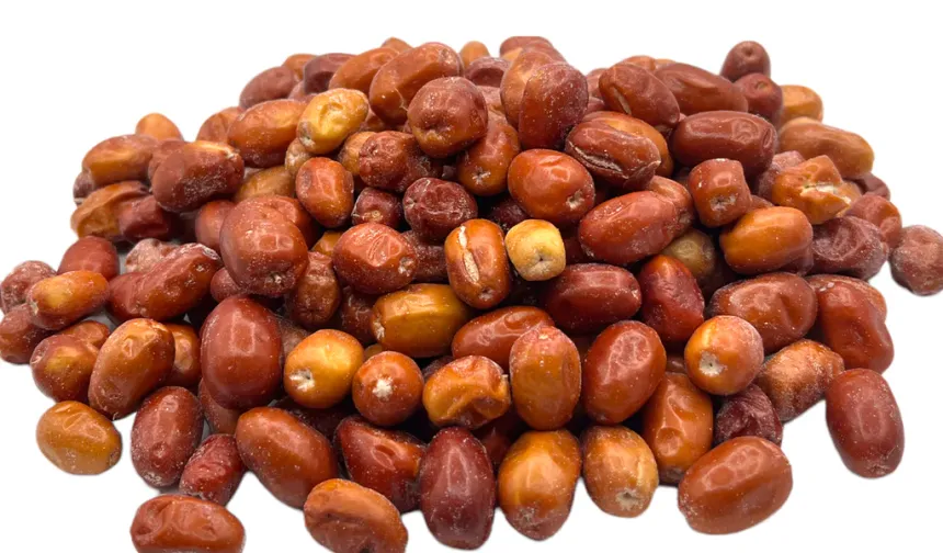 Nevşehir’de yetişen iğdenin inanılmaz faydaları