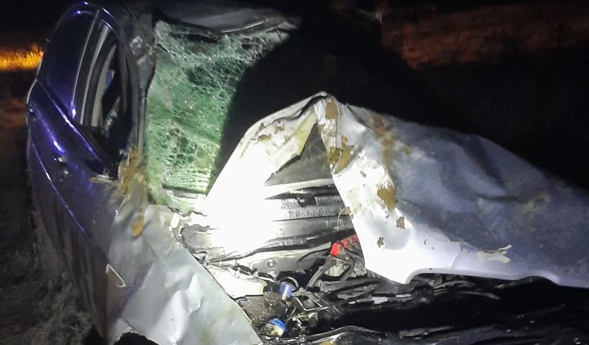 Nevşehir'de Domuza Çarpan 18 Yaşındaki Sürücü Hayatını Kaybetti