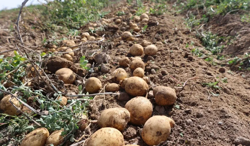 Nevşehir’de Güvenlik Kuşağı Uygulaması Derinkuyu’ya Taşındı