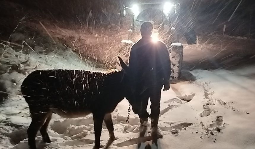 Ürgüp’te Başka Köyden Terk Edilen Eşeğe Muhtar Sahip Çıktı