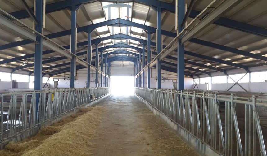 Hacıbektaş’a TKDK ile süt üretiminde yeni yatırım