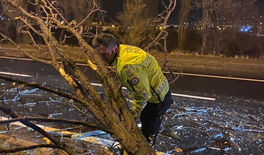 Avanos'ta ağaç devirdi karayolu trafiğe kapandı
