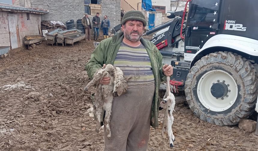 Gümüşkent’te ağılı uçtu, kuzuları telef oldu