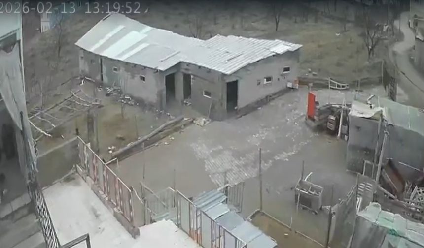 Kavak’ta mandıranın çatısı uçtu | VİDEO