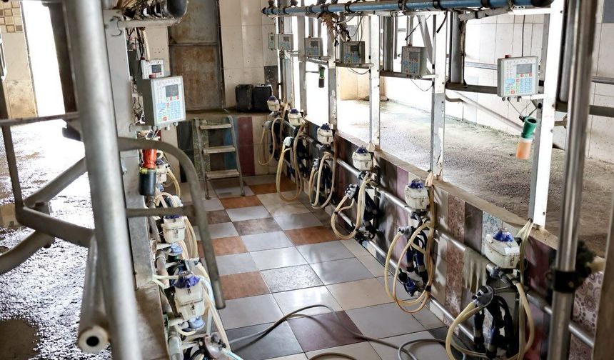 Nevşehir’de Süt Soğutma Tankı Denetimleri Devam Ediyor