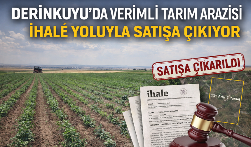 Çakıllı Köyü Arazi İhalesi 5 Mart’ta