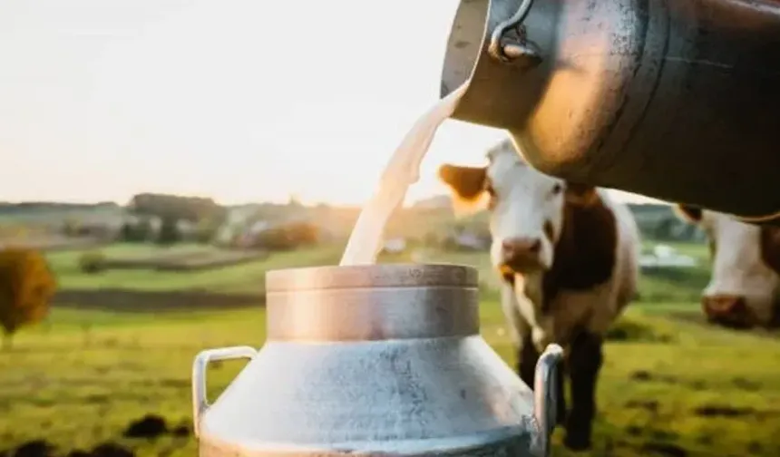 Nevşehir’de Çiğ Süt Destekleme Ödemeleri Bugün Hesaplara Yatıyor