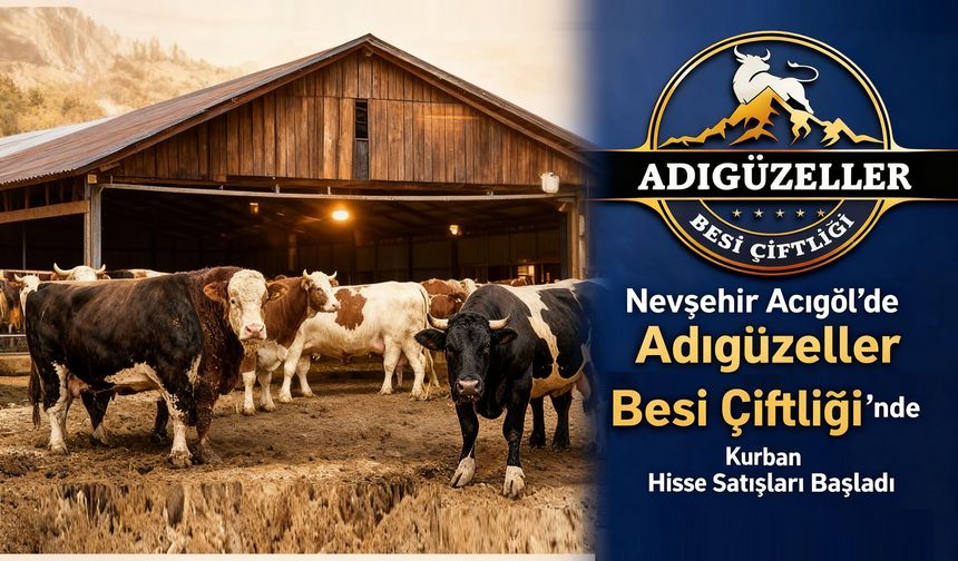 Adıgüzeller Besi Çiftliği’nde Satışlar Başladı