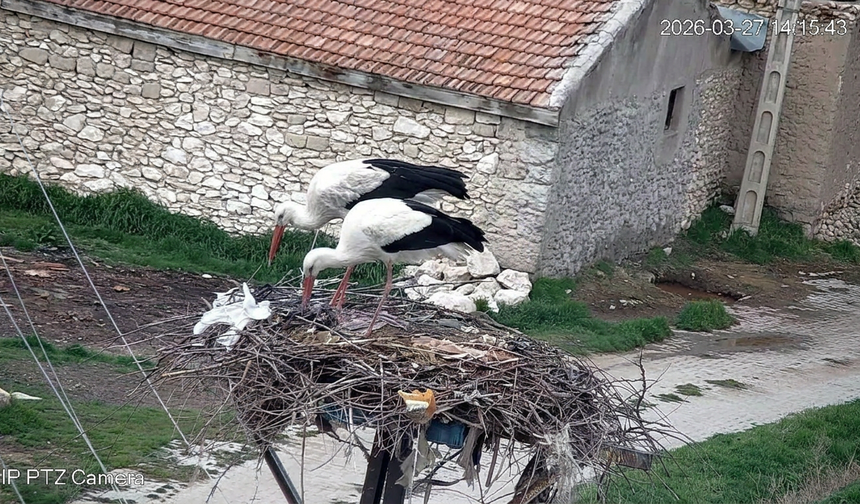 Nevşehir'de Akpınar'ın Maskotları “Garip” ve “Gurbet” Geri Döndü