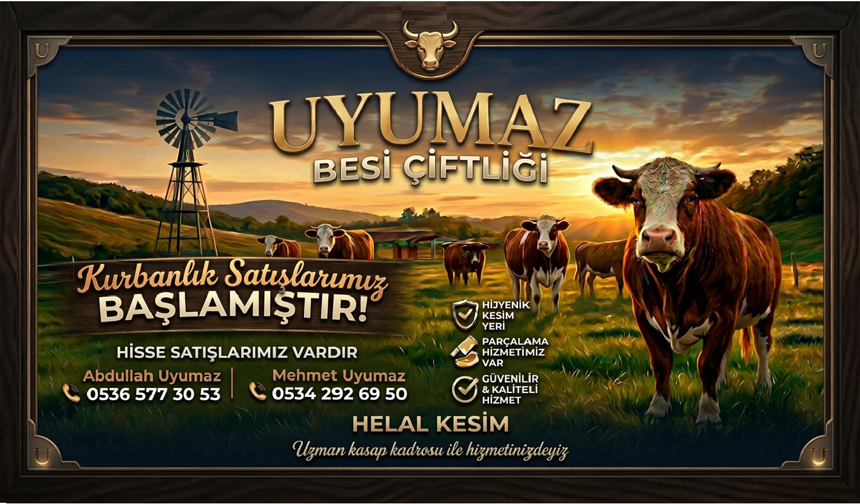 Uyumaz Besi Çiftliği’nde Satışlar Başladı