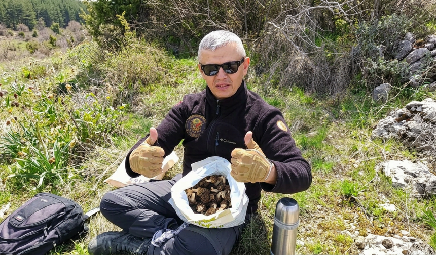 Doğanın Altını Nevşehir’de Bulundu