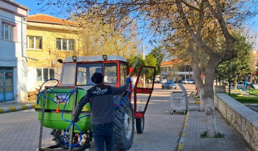 Karacaşar’da Sivrisinekle Mücadele Seferberliği