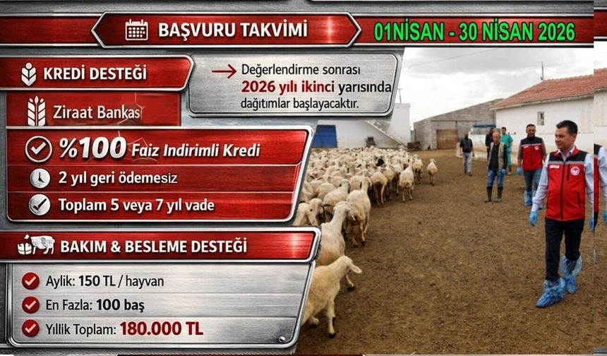 Nevşehir'de Küçükbaş Hayvan Desteğine Kimler Başvurabilir?