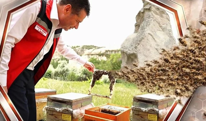 Nevşehir’de arılı kovan desteği başvuruları sürüyor