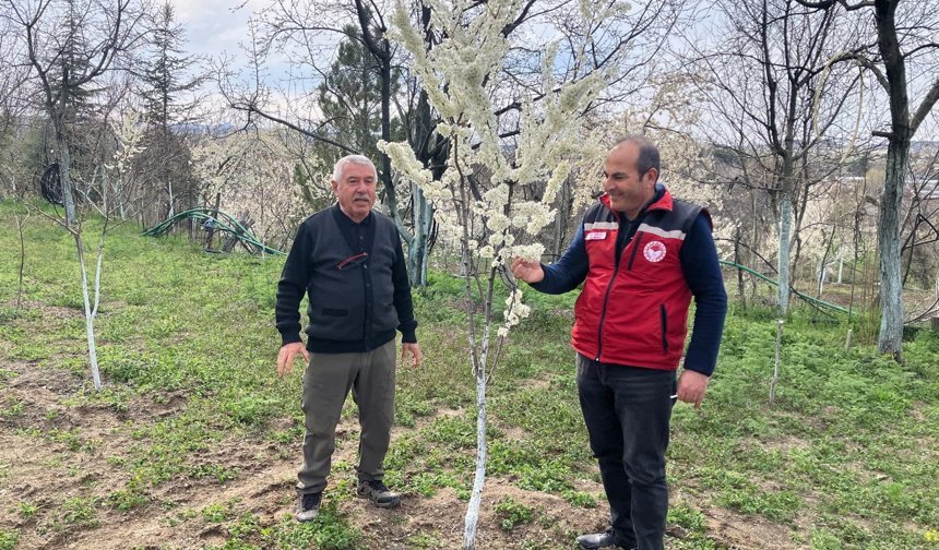 Nevşehir’de Don Zararı Tespiti Başladı
