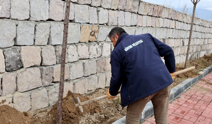 Göreme’de Esentepe Mevkii Yeniden Yeşilleniyor