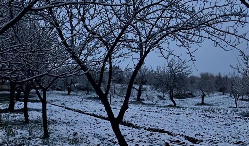 Özyayla Köyü Nisan'da Beyaza Büründü