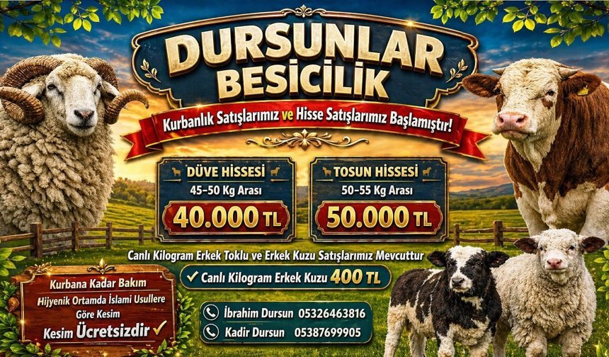 Dursunlar Besicilikten Kurbanlık ve Hisse Satışı