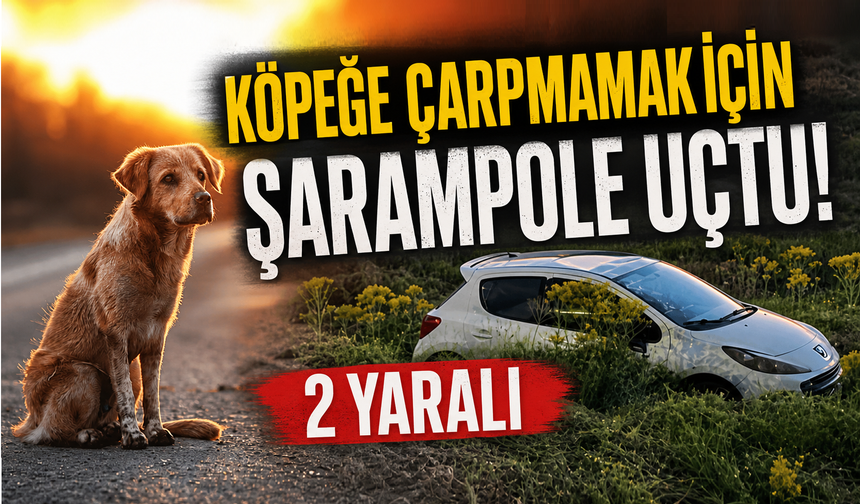 Köpeğe Çarpmamak İçin Şarampole Uçtu