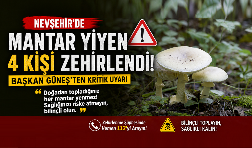 Nevşehir'de mantar yiyen 4 kişi zehirlendi!