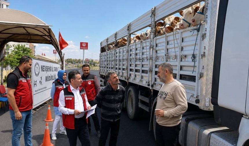 Nevşehir’de Hayvan Hareketlerine Sıkı Denetim