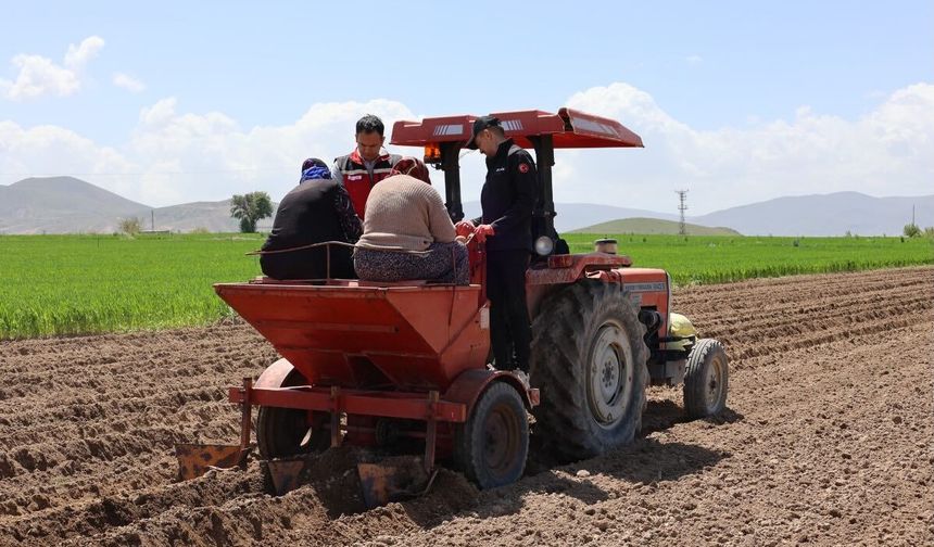 Yerli Patates Çeşitleri Nevşehir’de Test Ediliyor