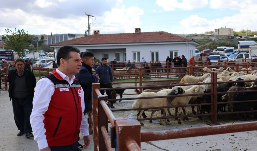 Nevşehir Hayvan Pazarı'nda arife günü yoğunluğu