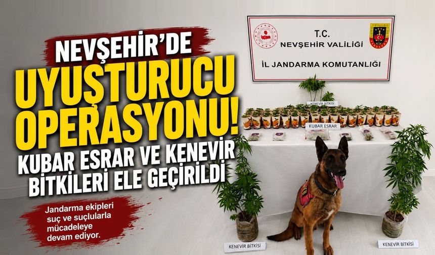 Nevşehir'de 73 Kök Kenevir Ele Geçirildi