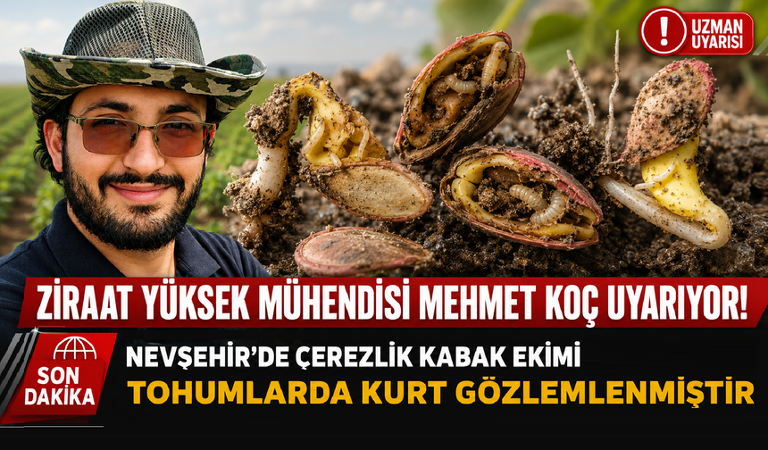 Nevşehirli Uzmandan Kabak Üreticilerine Uyarı