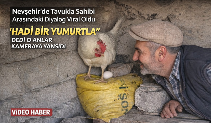 Nevşehir’de tavukla yumurta diyaloğu gülümsetti