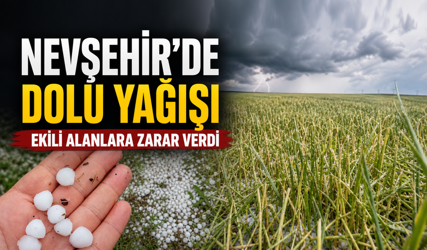 Çullar köyünde dolu ekili alanlara zarar verdi