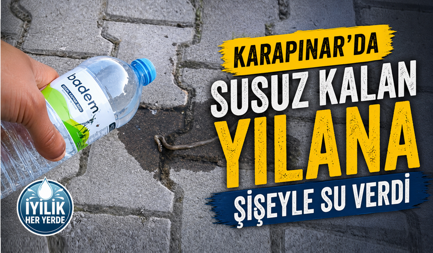 Susamış yavru yılana böyle su verdi