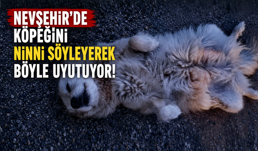 Köpeğini ninni ile böyle uyutuyor!
