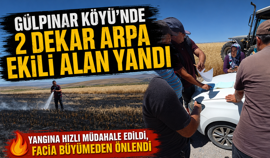 Gülpınar köyü'nde 2 dekar tarım arazisi yandı