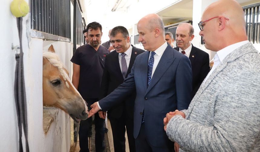 Uyarlanmış Binicilik Programı NEVÜ’de Açılıyor