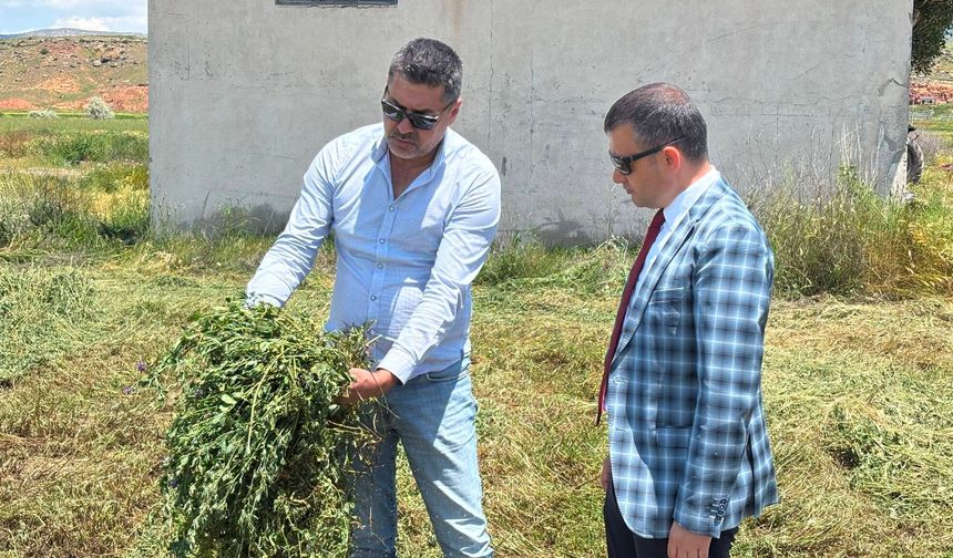 Avanos’ta Yonca Biçim Çalışmaları Başladı
