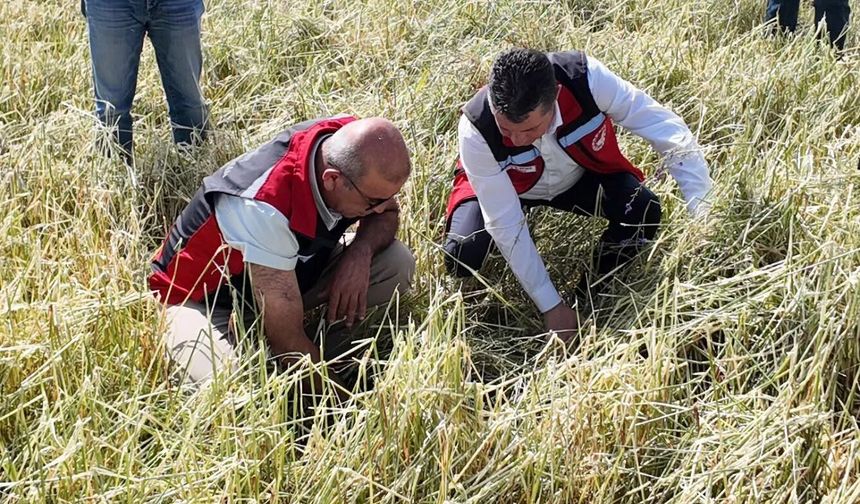 Nevşehir'de Dolu ve Selin Yaraları Sarılıyor