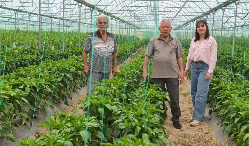 Nevşehir Çat Beldesindeki Seraya Teknik Ziyaret