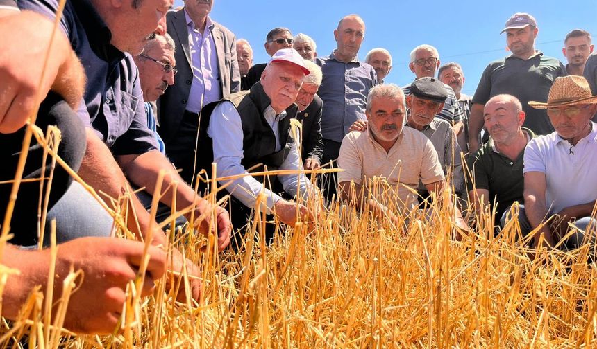 Kozluca ve Çullar’da Dolu Hasarı Masaya Yatırıldı