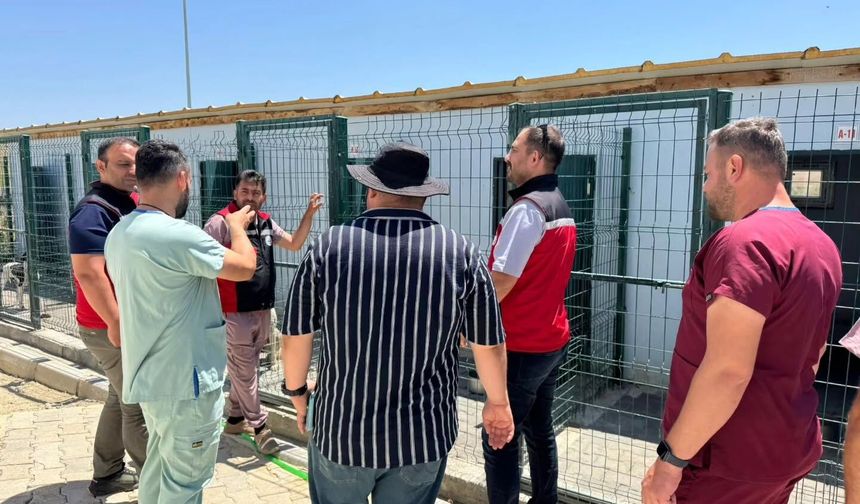 Nevşehir'de hayvan bakımevi denetlendi